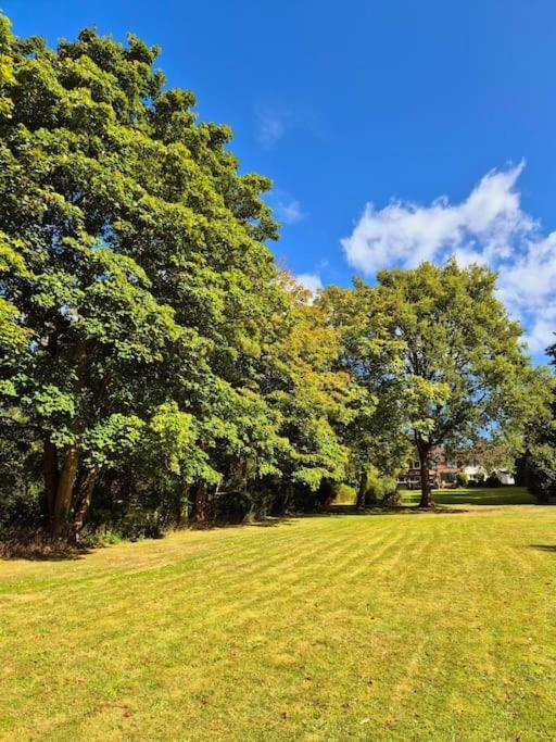 Large 4 Bedroom House On The River Wensum Sleeps 13 نورويش المظهر الخارجي الصورة
