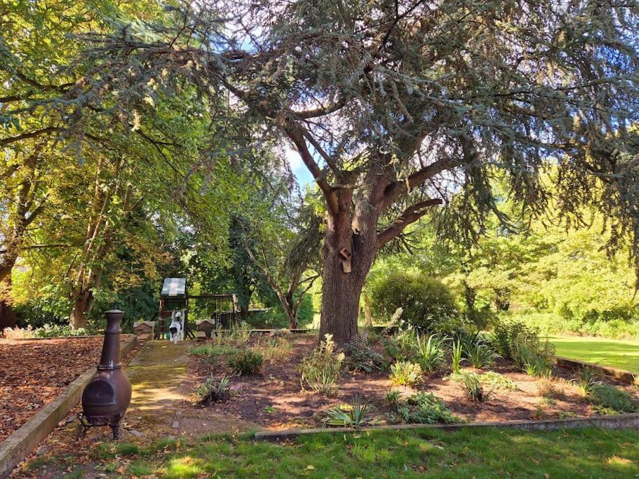 Large 4 Bedroom House On The River Wensum Sleeps 13 نورويش المظهر الخارجي الصورة